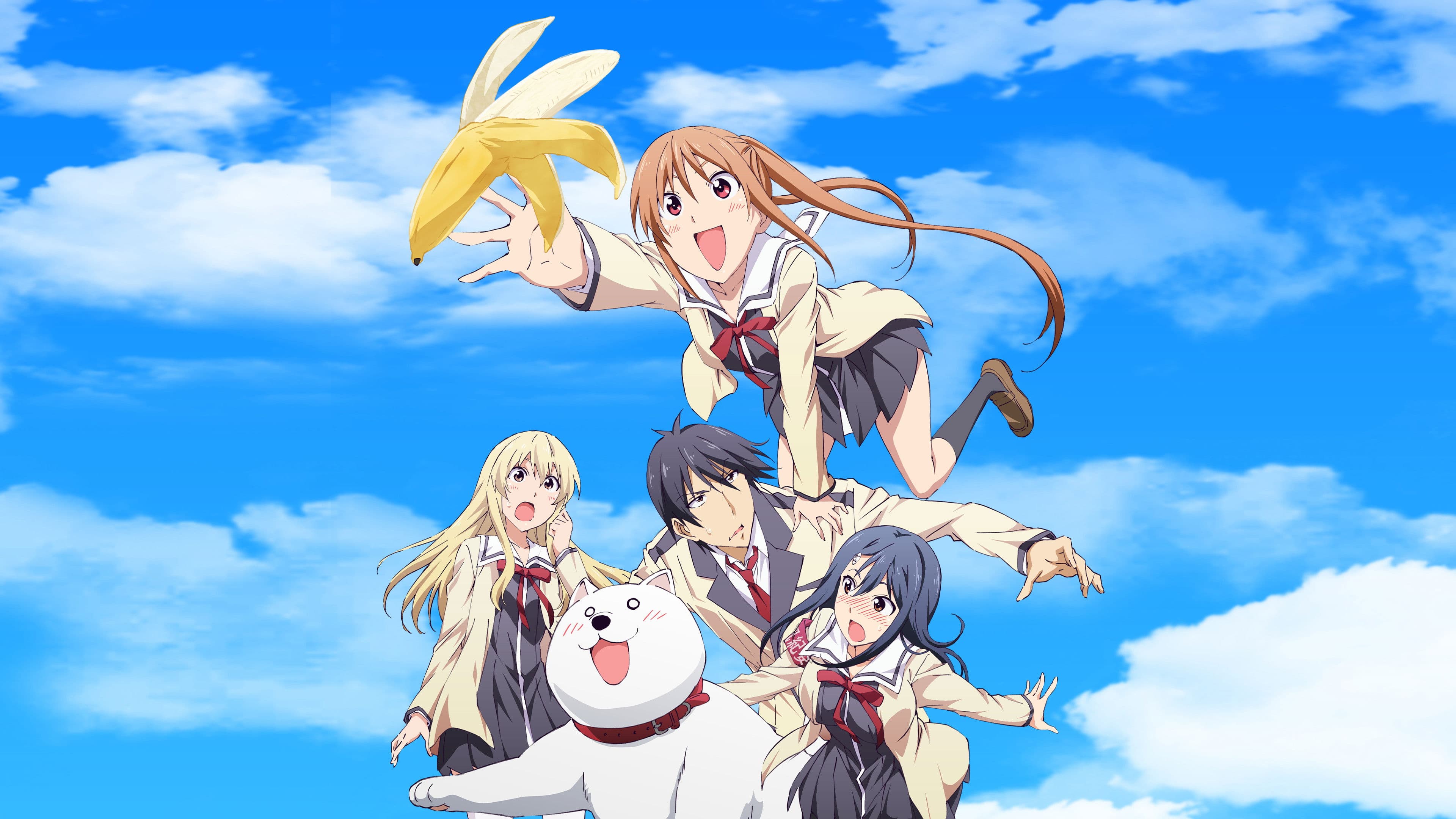 AHO-GIRL - Regarder en VF et VOSTFR sur Arkanim