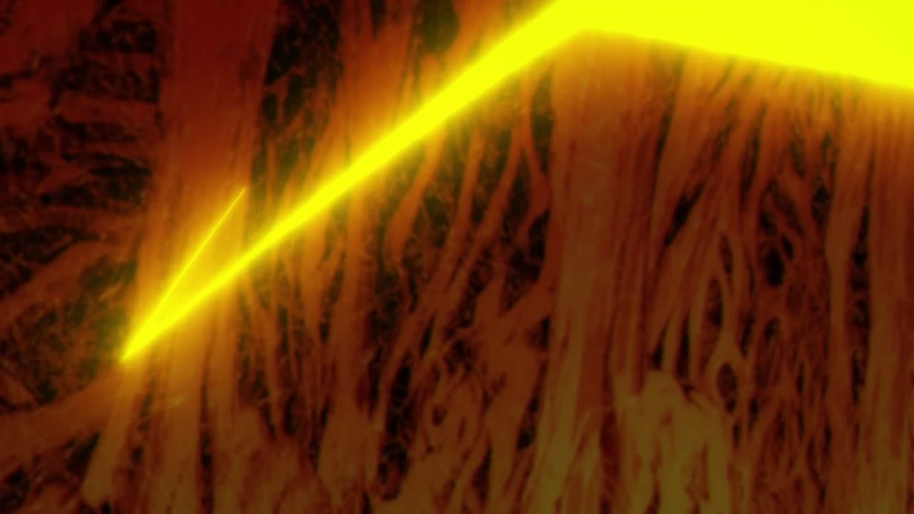 Épisode 11