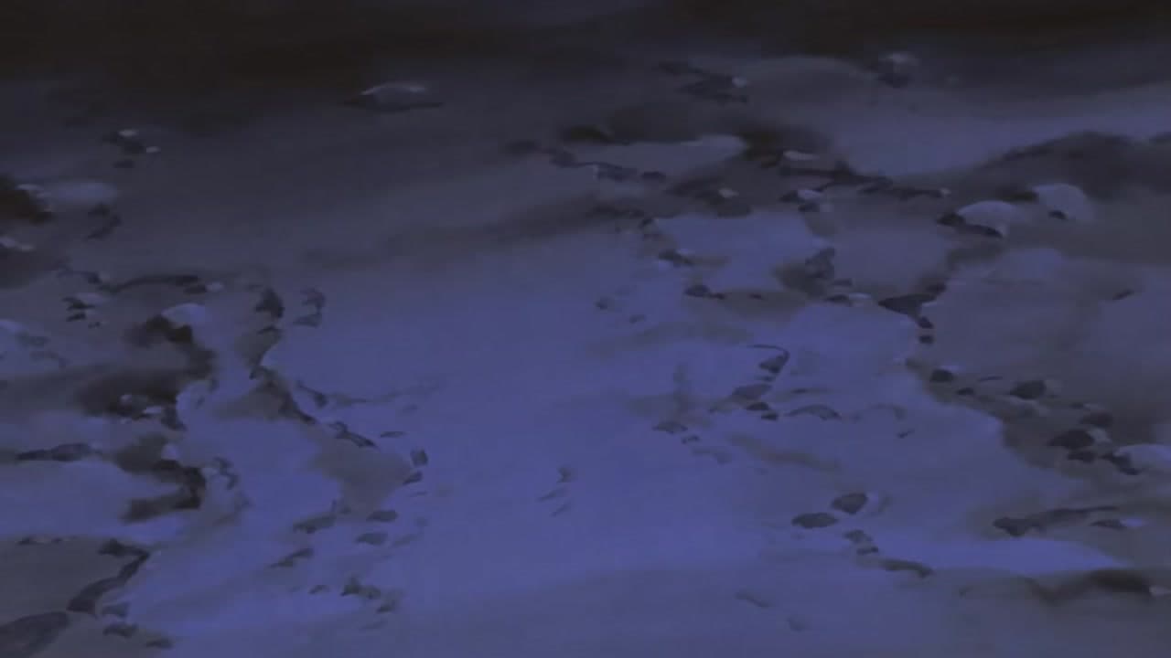 Épisode 10