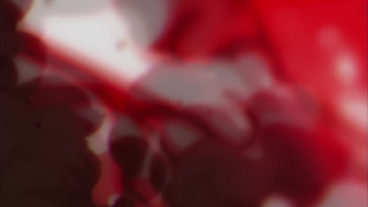 Épisode 11