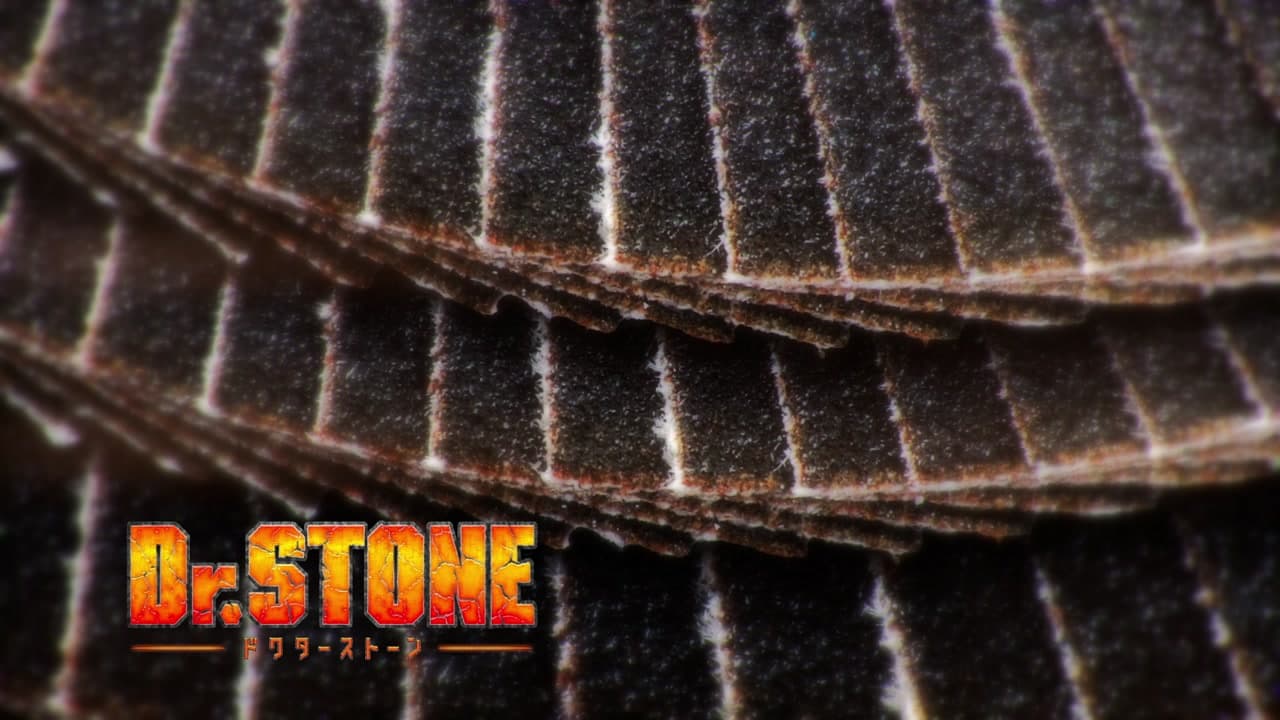 Dr. Stone épisode 19 - VF et VOSTFR