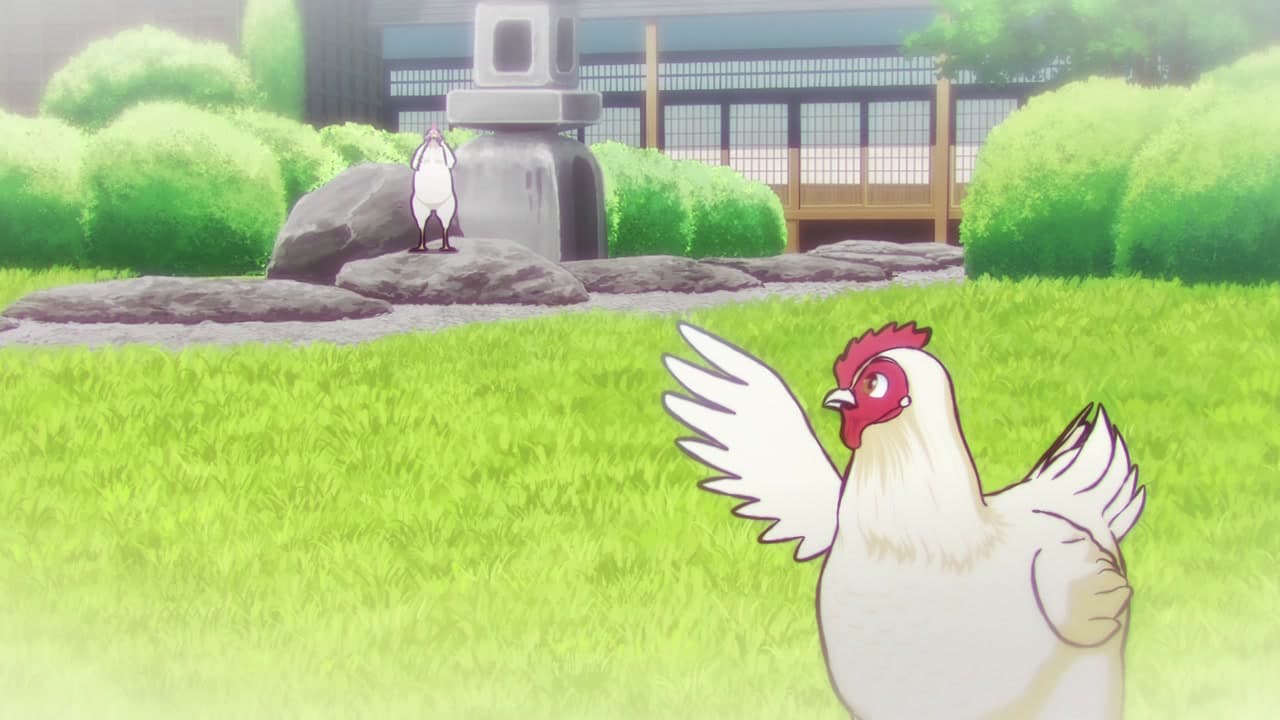Épisode 8