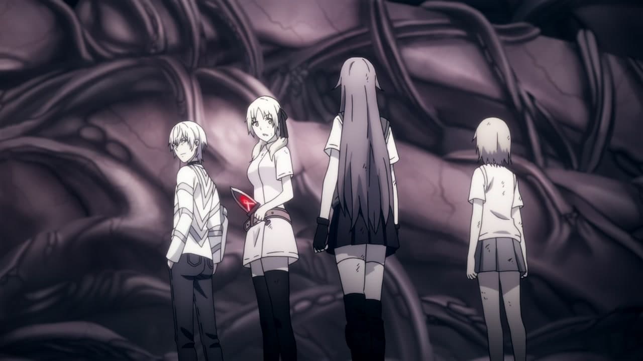 Épisode 11