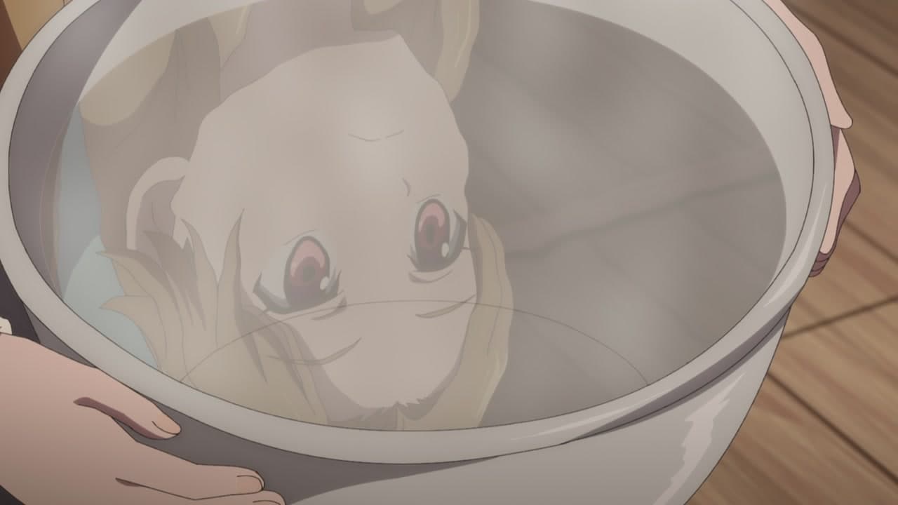 Épisode 1
