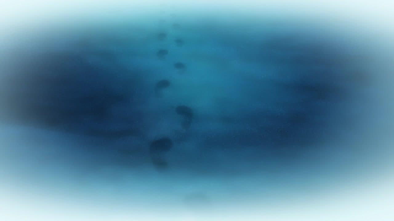 Épisode 15