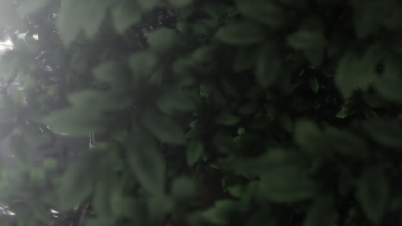 Épisode 9
