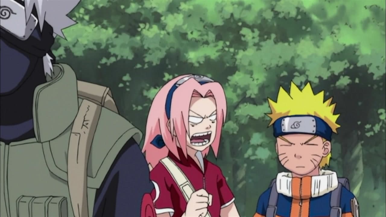 Épisode 7