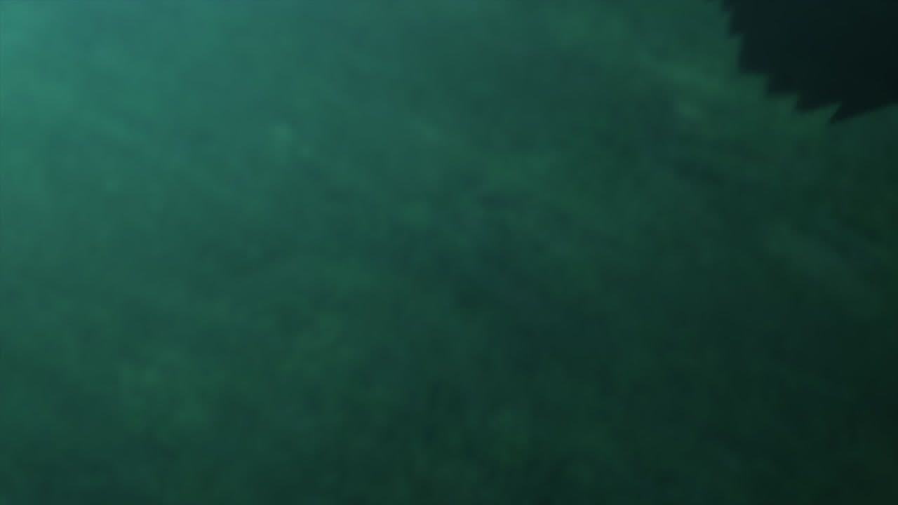 Épisode 9