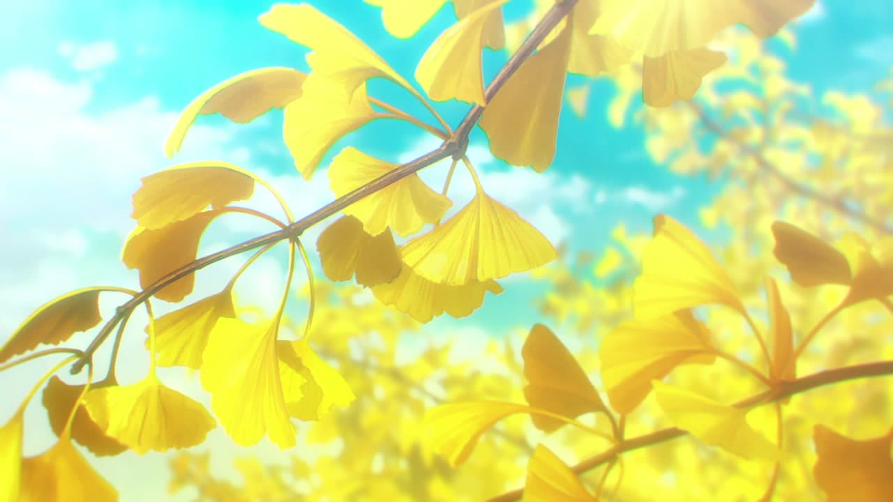 Épisode 10