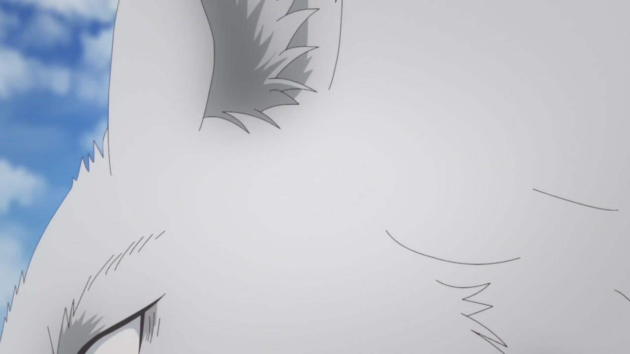 Épisode 7