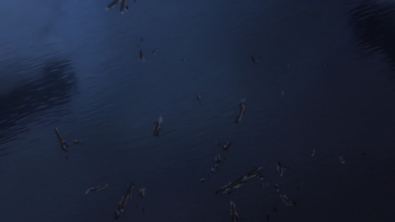 Épisode 14