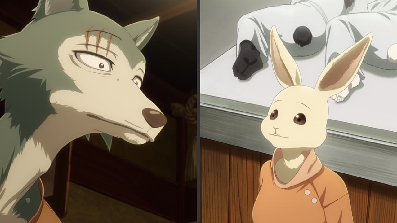 Beastars épisode 7 - VF et VOSTFR