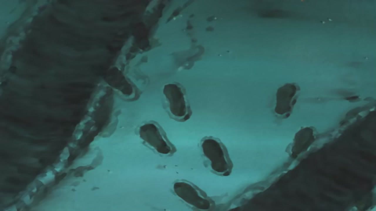 Épisode 7