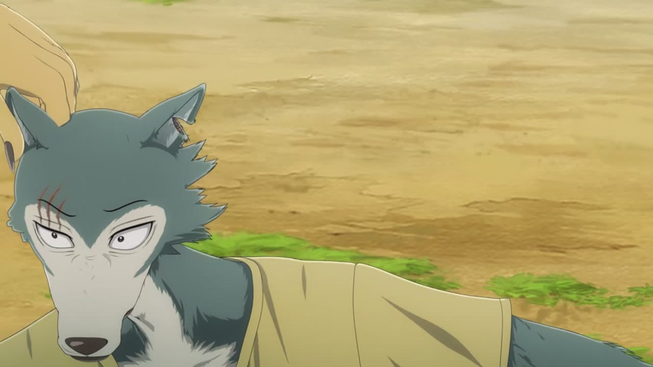Beastars épisode 16 - VF et VOSTFR