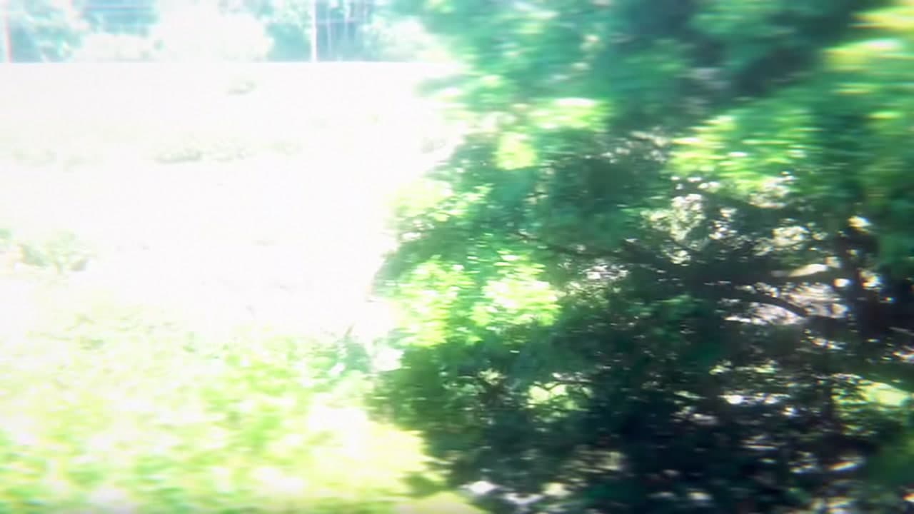 Épisode 12