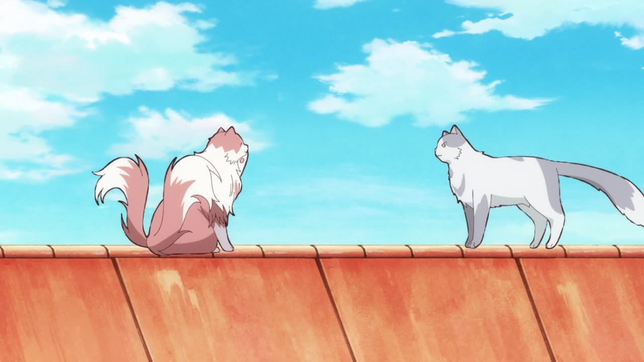 The Cat and the Dragon épisode 7 - VF et VOSTFR