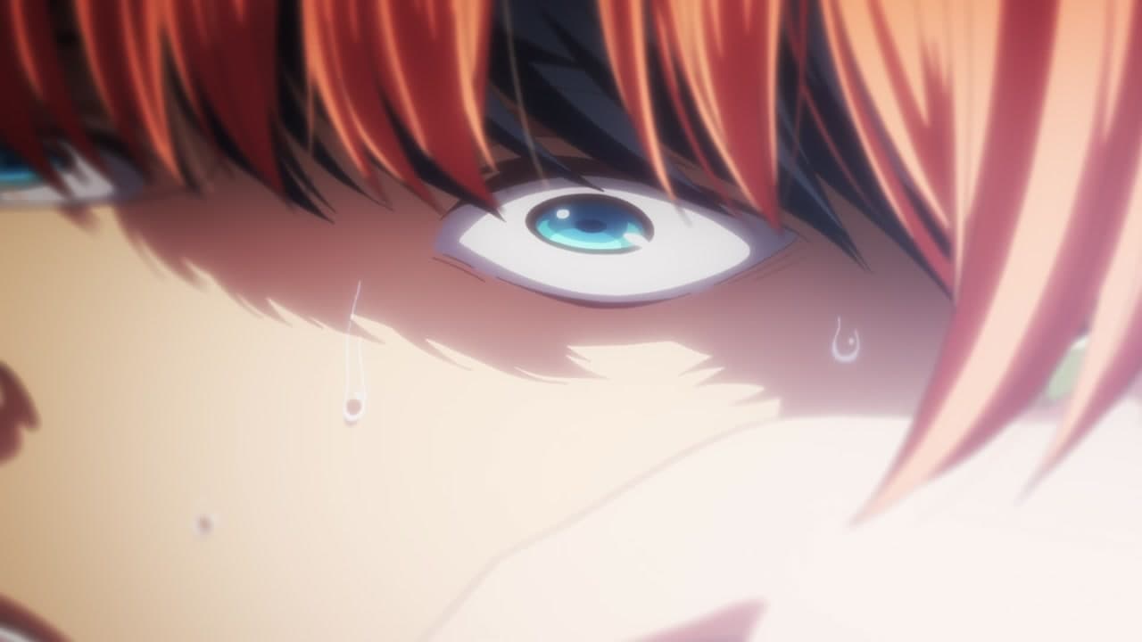 Épisode 8